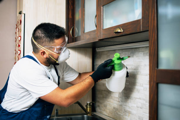 Reliable Troy, NC Pest Control Solutions