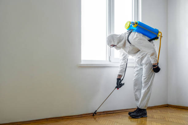 Best Flea Control Services  in Troy, NC