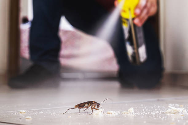 Best Wasp Removal Services  in Troy, NC
