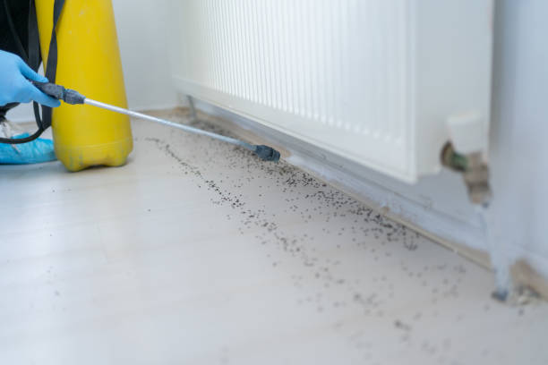 Best Pest Prevention Services  in Troy, NC