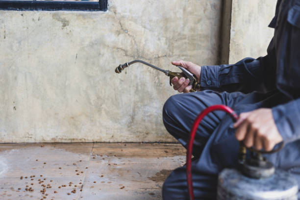 Best Rat Extermination Near Me  in Troy, NC